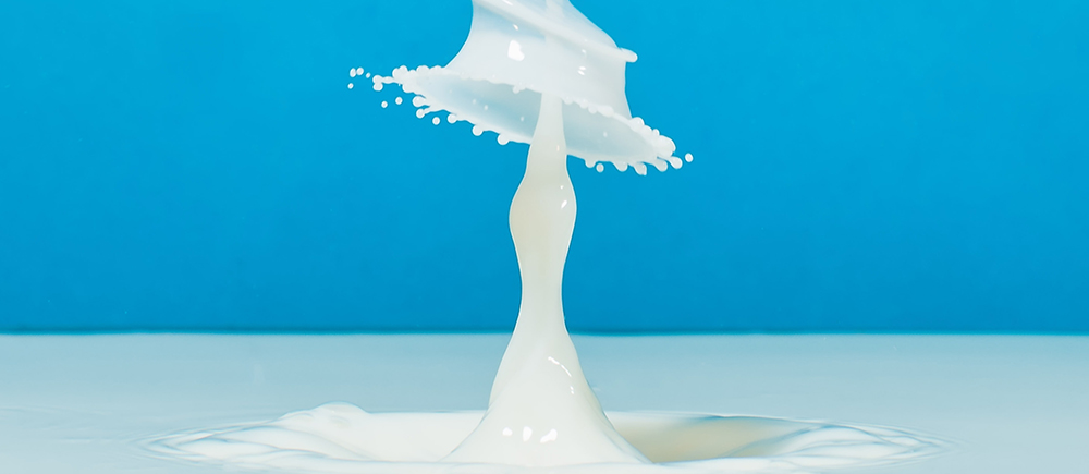 Make Your Own Plastic From Milk!